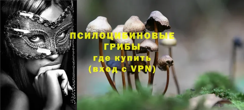 Галлюциногенные грибы Magic Shrooms  kraken ссылки  Бутурлиновка 